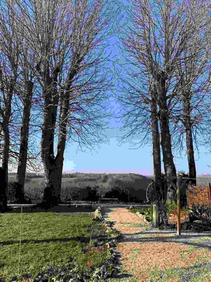 Bed and Breakfast La Flavignienne Flavigny-sur-Ozerain Exterior foto
